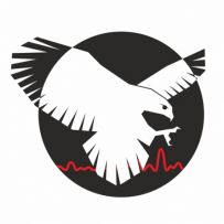 Поліграфолог психолог Ірина Соколова Дніпро