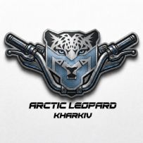 Arctic Moto