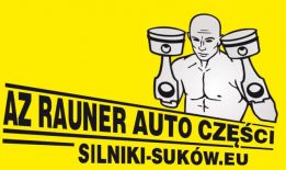 Nikoaz00 logo