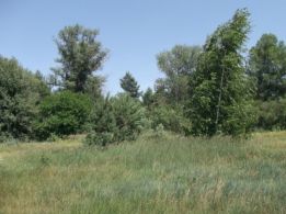 Ксения, риелтор