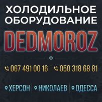 ЧП DEDMOROZ
