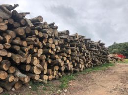 Демонтаж знесення будинків дач заводів працюєм по Київській області та