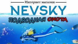 Sport Industrial Alexander Nevsky