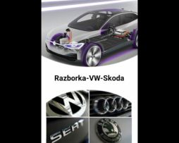 Разборка Volkswagen Skoda