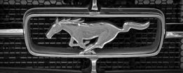 mustangtires