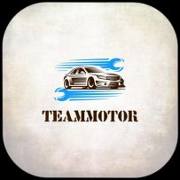 Teammotor