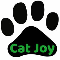 Cat Joy