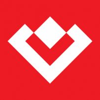 VIDITEK Engineering Group