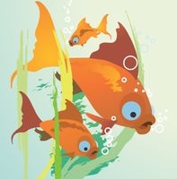 Аквасвіт на Позняках