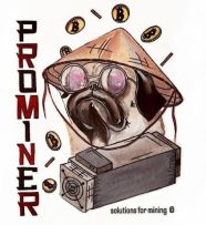 ProMiner