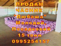 Деревообрабатывающий Цех logo