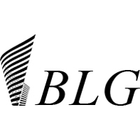 ООО «БИЗНЕС ЛИДЕР ГАРАНТ»