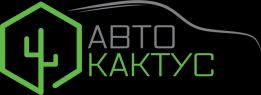 Авто-кактус