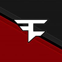 Feniks TM