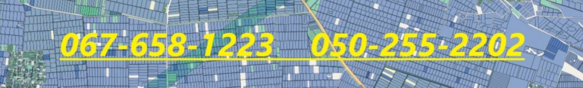 ФОП Ящук Світлана Іванівна