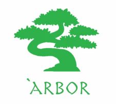 Arbor Київ logo