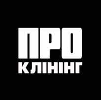 Очистка Тротуарной Плитки Киев - цены услуг ПРО Клининг