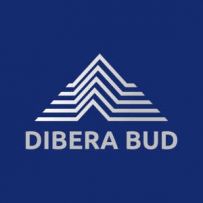 ТОВ Дібера Буд