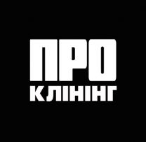 Чистка Плитки - тротуарної бруківки фем - ПРО Клінінг Київ