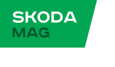 SkodaMag запчастини для автомобілів Шкода