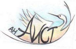 АН АИСТ