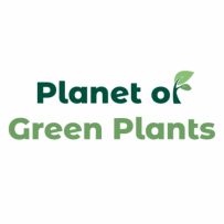Planet of green plants