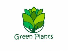 Питомник растении "Green Plants"