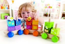 Інтернет-магазин розвиваючих іграшок для дітей "Маленький Вундеркінд"