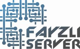 Fayzli Server
