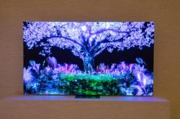 Мир Электроники. QLED. Mini LED. QD OLED. OLED Evo. Microled скоро....