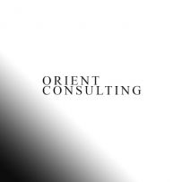 Orient Consulting