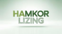 HAMKOR LIZING