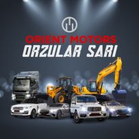 OOO "ORIENT MOTORS"