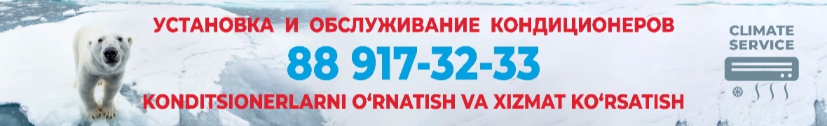 CLIMATE SERVICE
