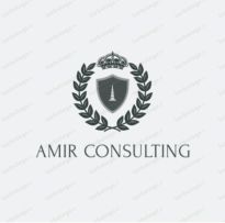 AMIR CONSULTING