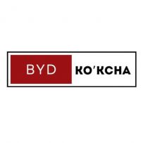 Byd Kokcha parts