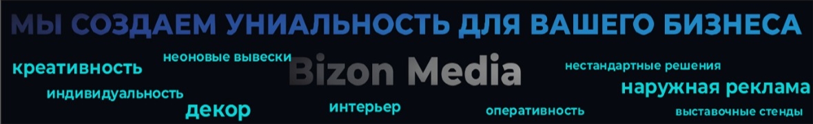Bizon Media
