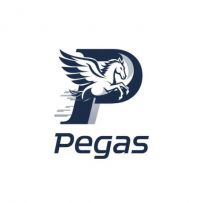 PeGas Tashkent