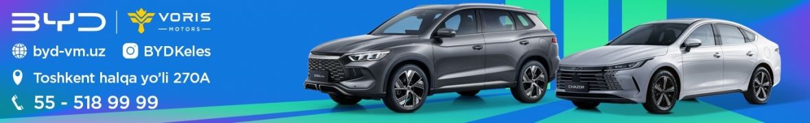 BYD Voris Motors