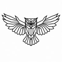 BLACK OWL STRATEGIC SUPPLY LLC