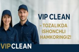 Vipclean